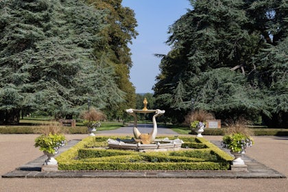 Chestnut Suite 2