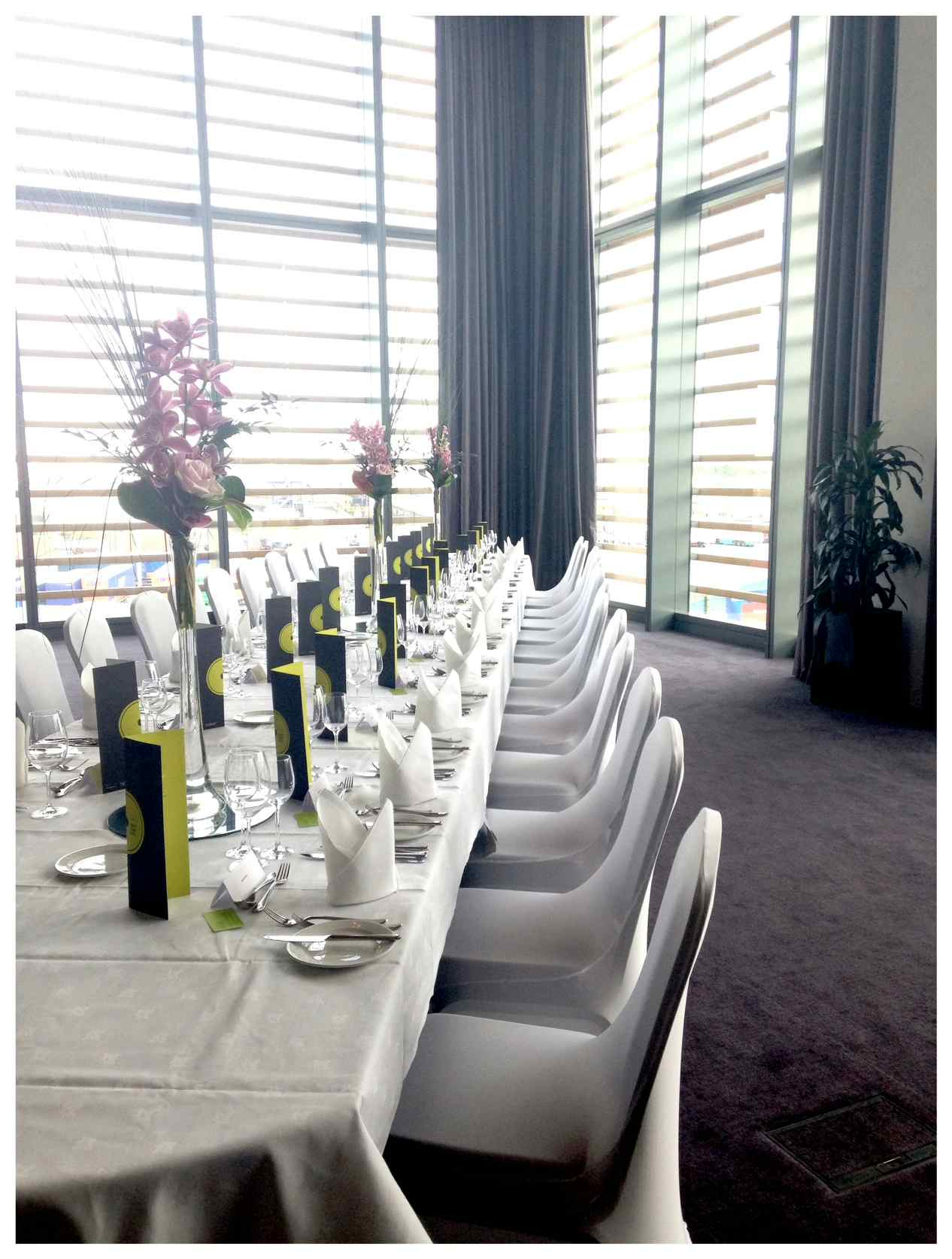 Stratocaster Suite A 1