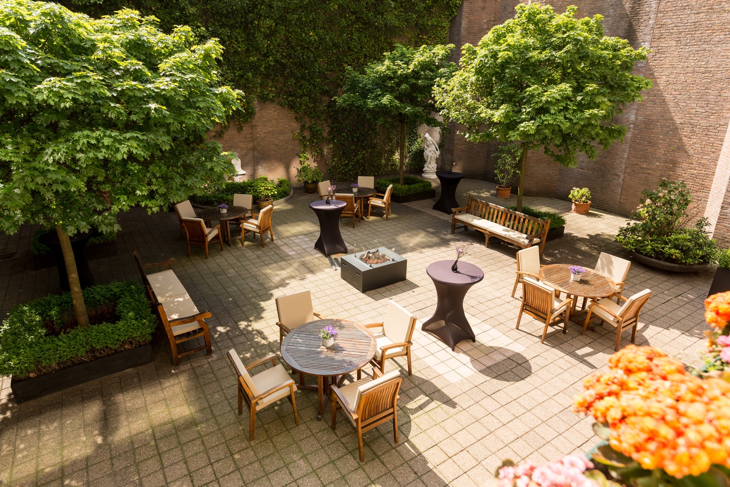 Van Gogh 1 + 2 + 3 4