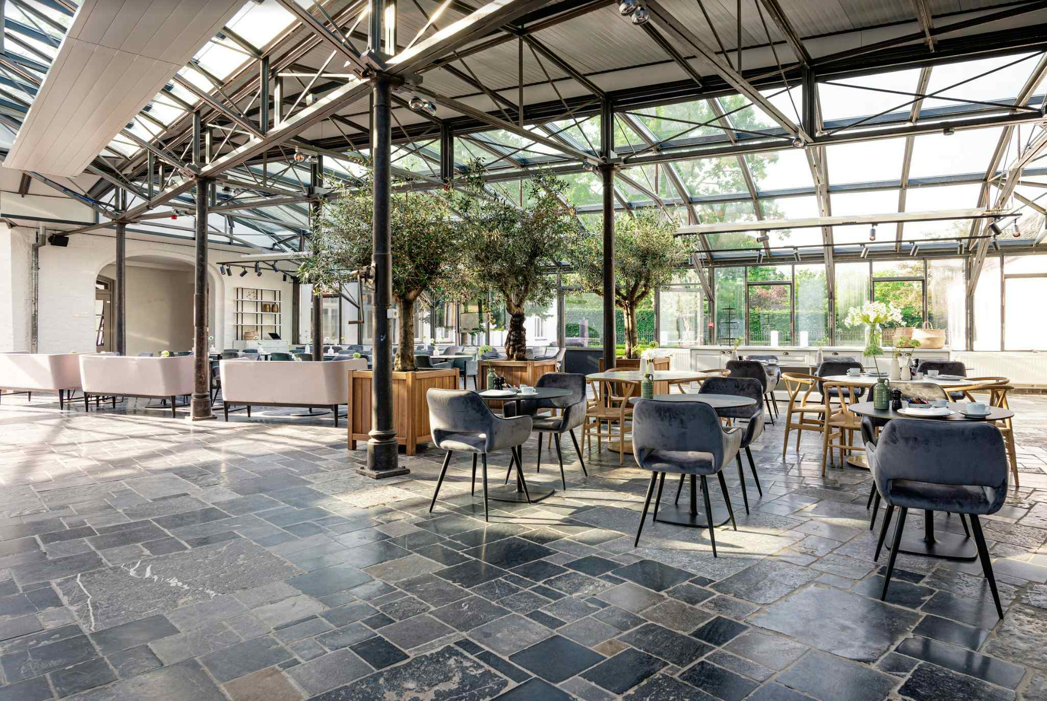 Barones De La Marck 5