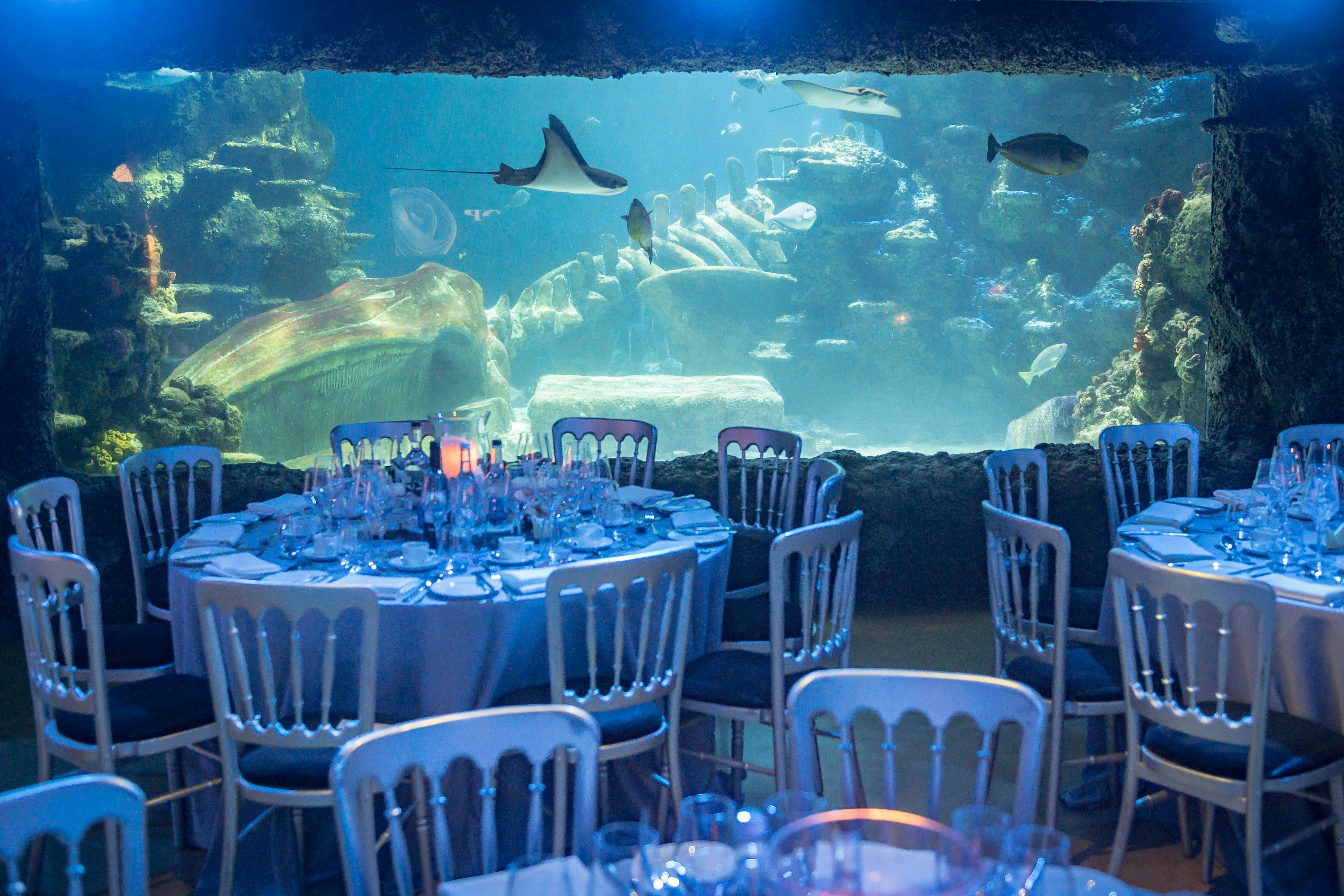 Venue Hire 0