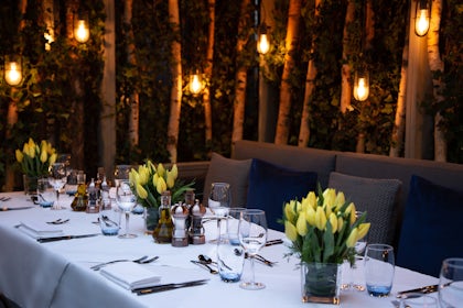 The Terrace 3