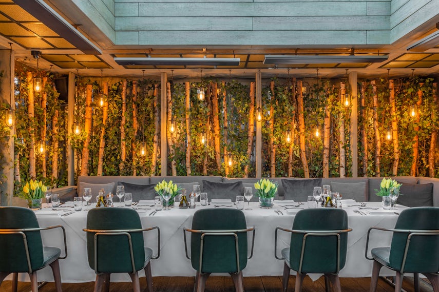 The Terrace 0