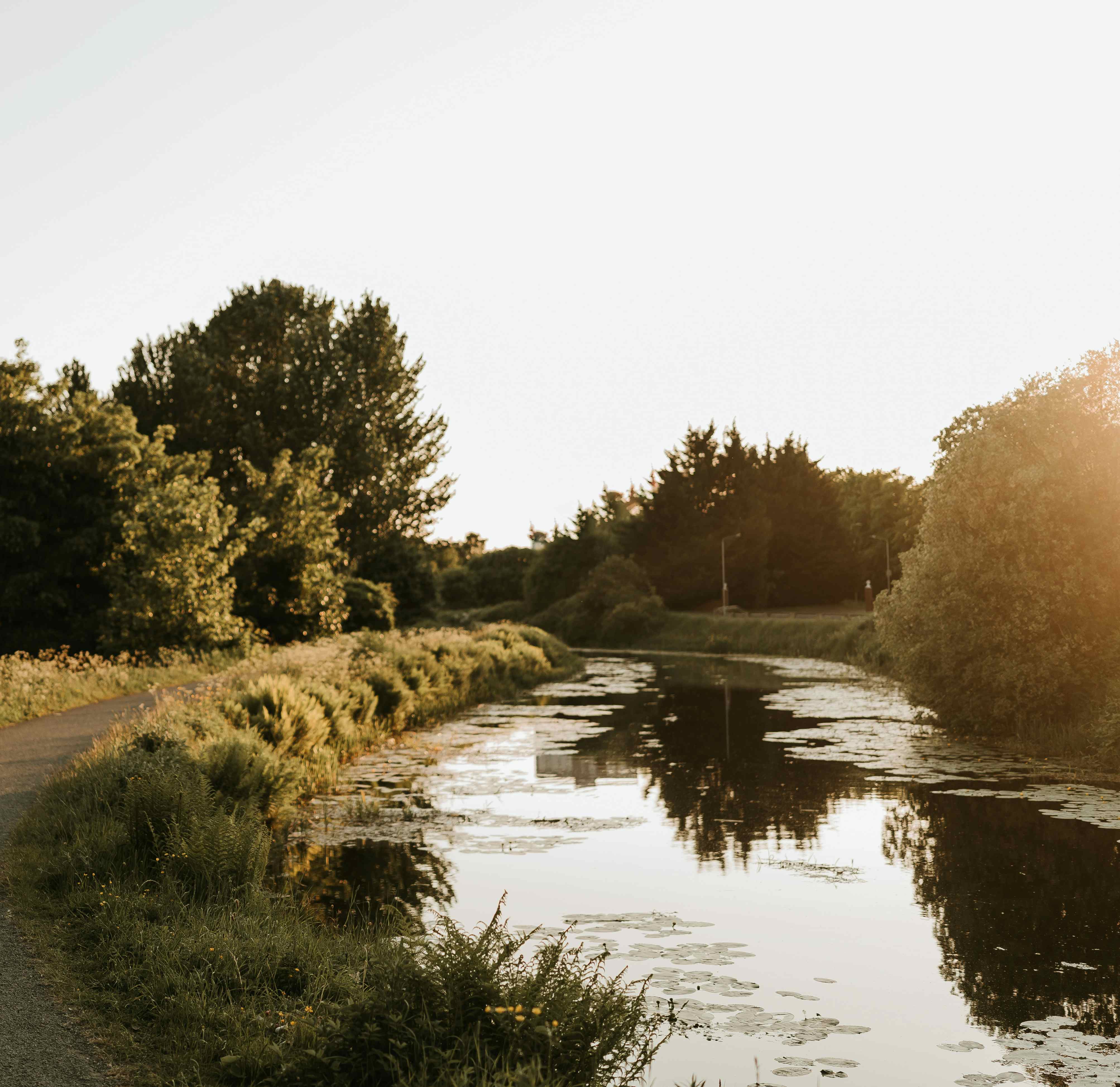 The Engine Works  24