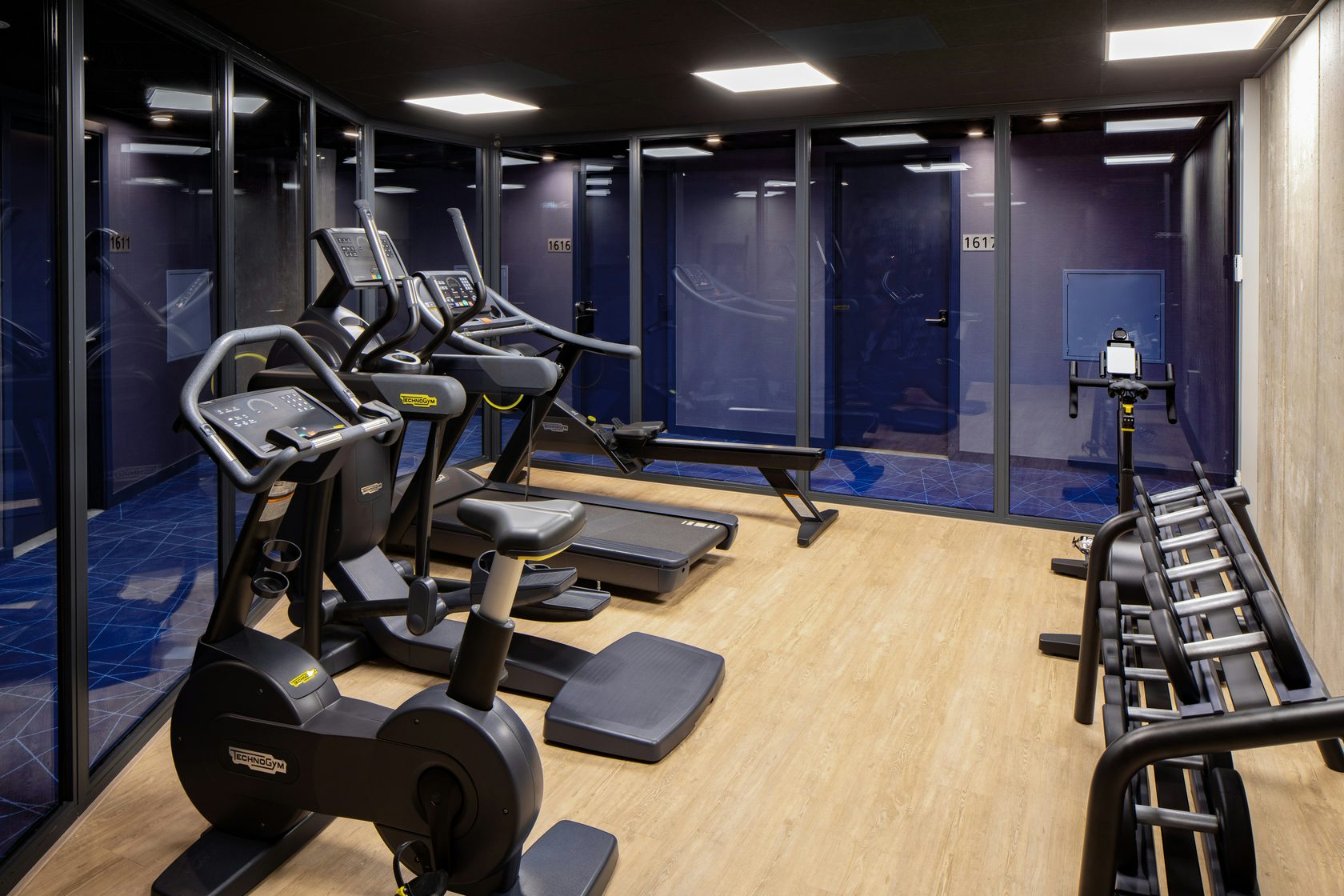 Ginger, Coriander and Lavender 8