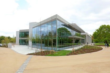 The Cypress Suite 1