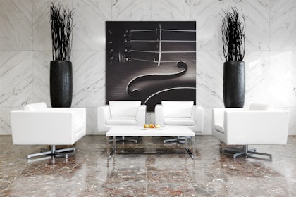Haydn 5