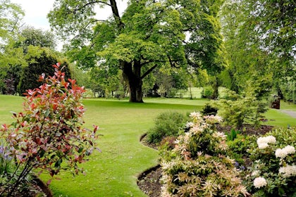 Houstoun Suite 2