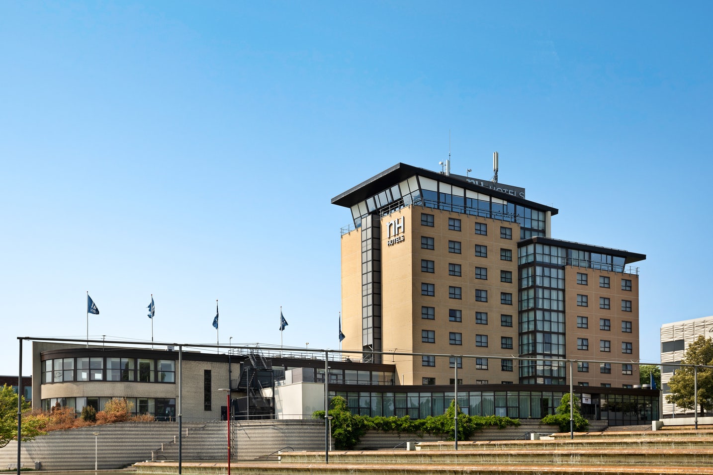 Violet 1 + 2 + Roses B 5