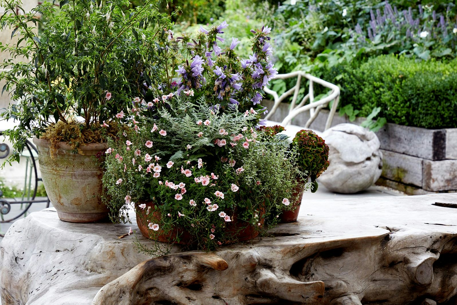 The Roof Terrace 3
