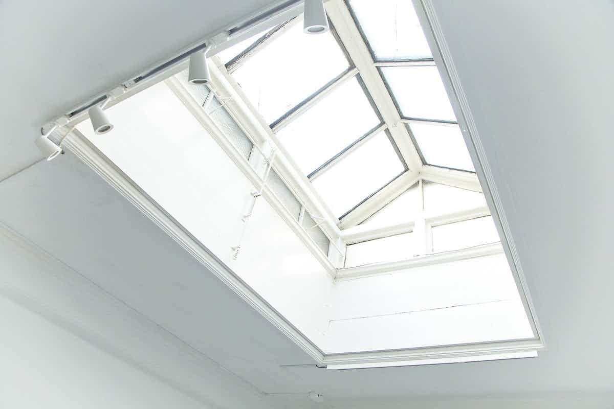 Butler in The Peanut Factory 4