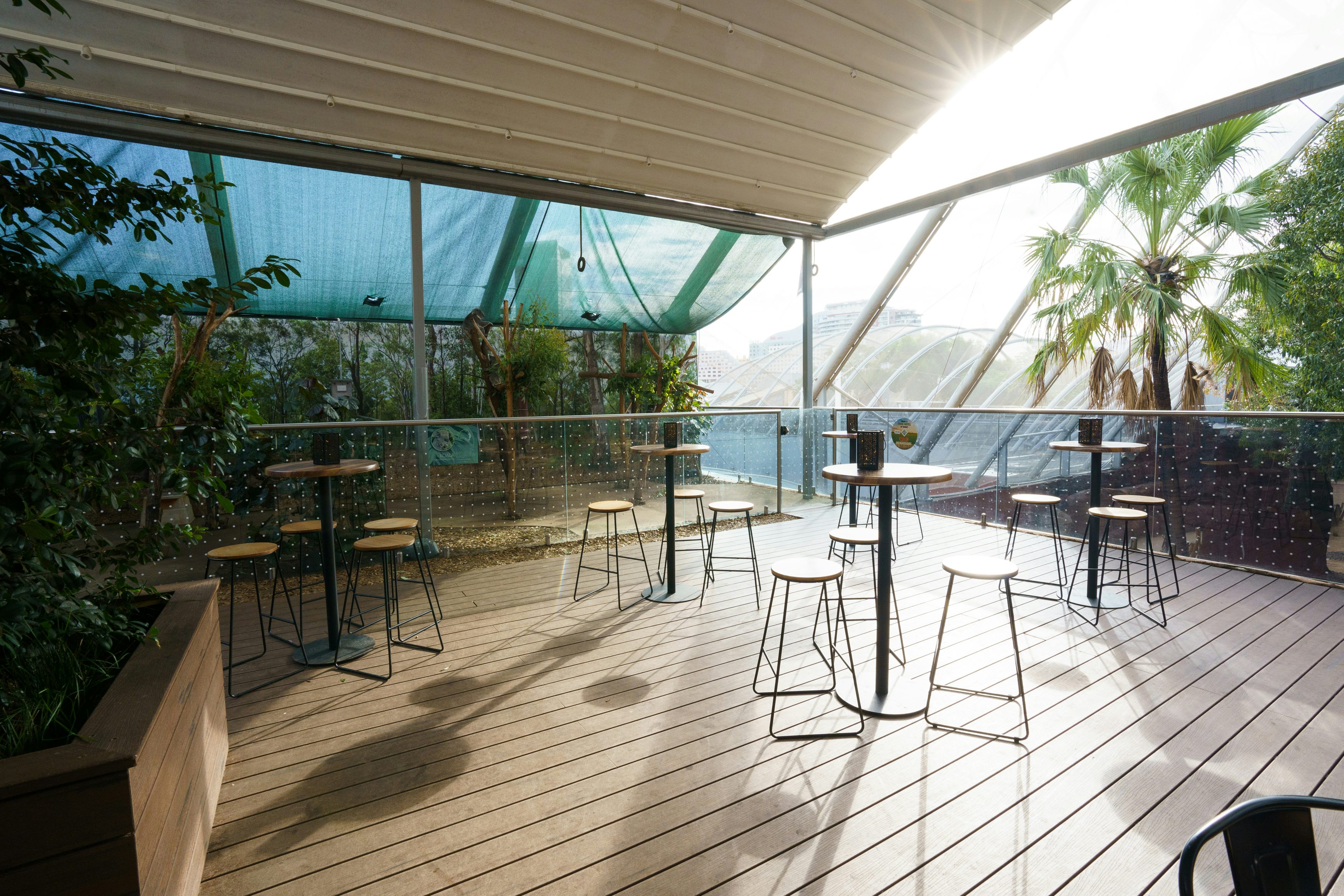 Koala Rooftop 0