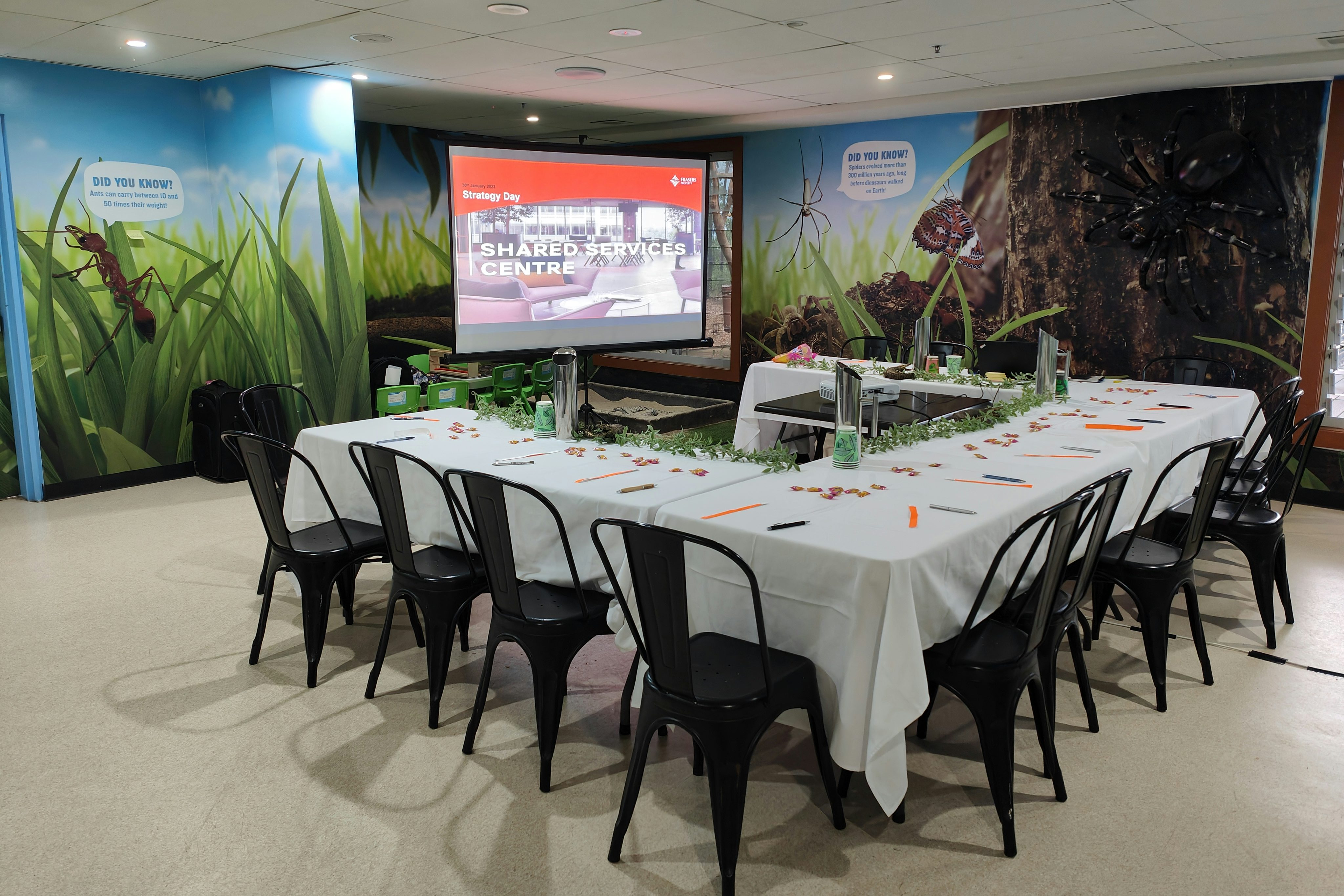 Inside Koala Rooftop 0