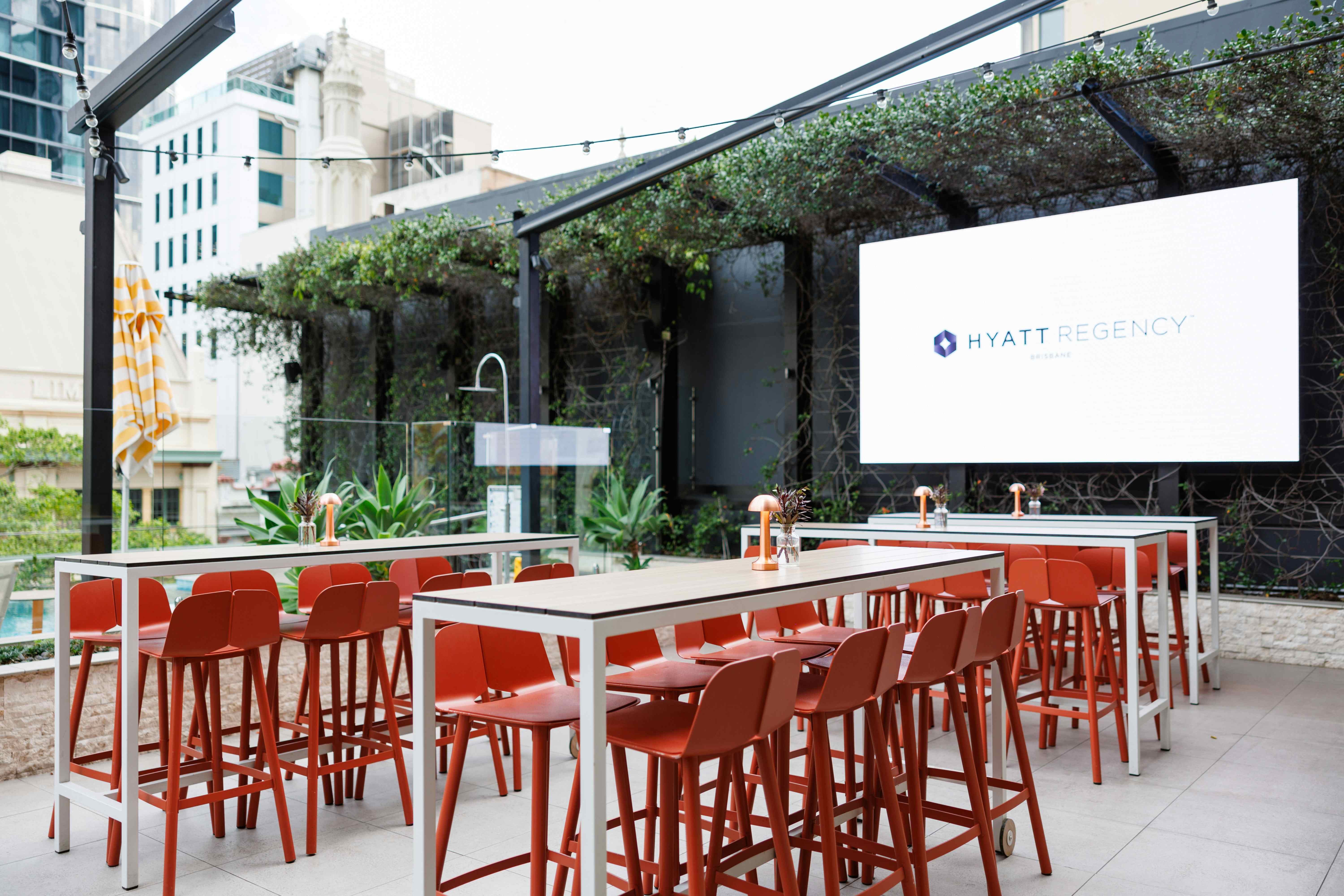 Hibiscus Bar & Terrace Exclusive 4