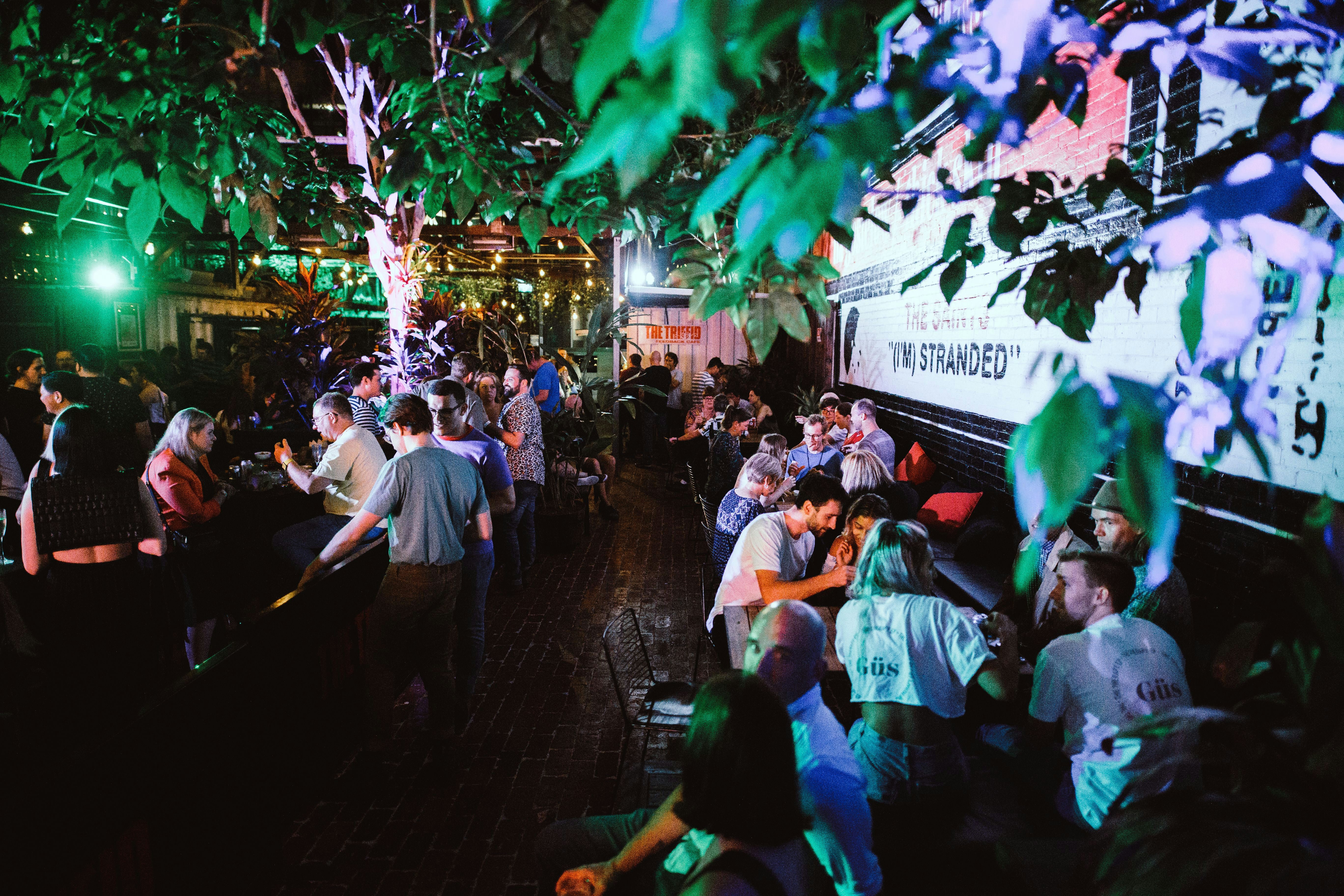 The Triffid Garden 3