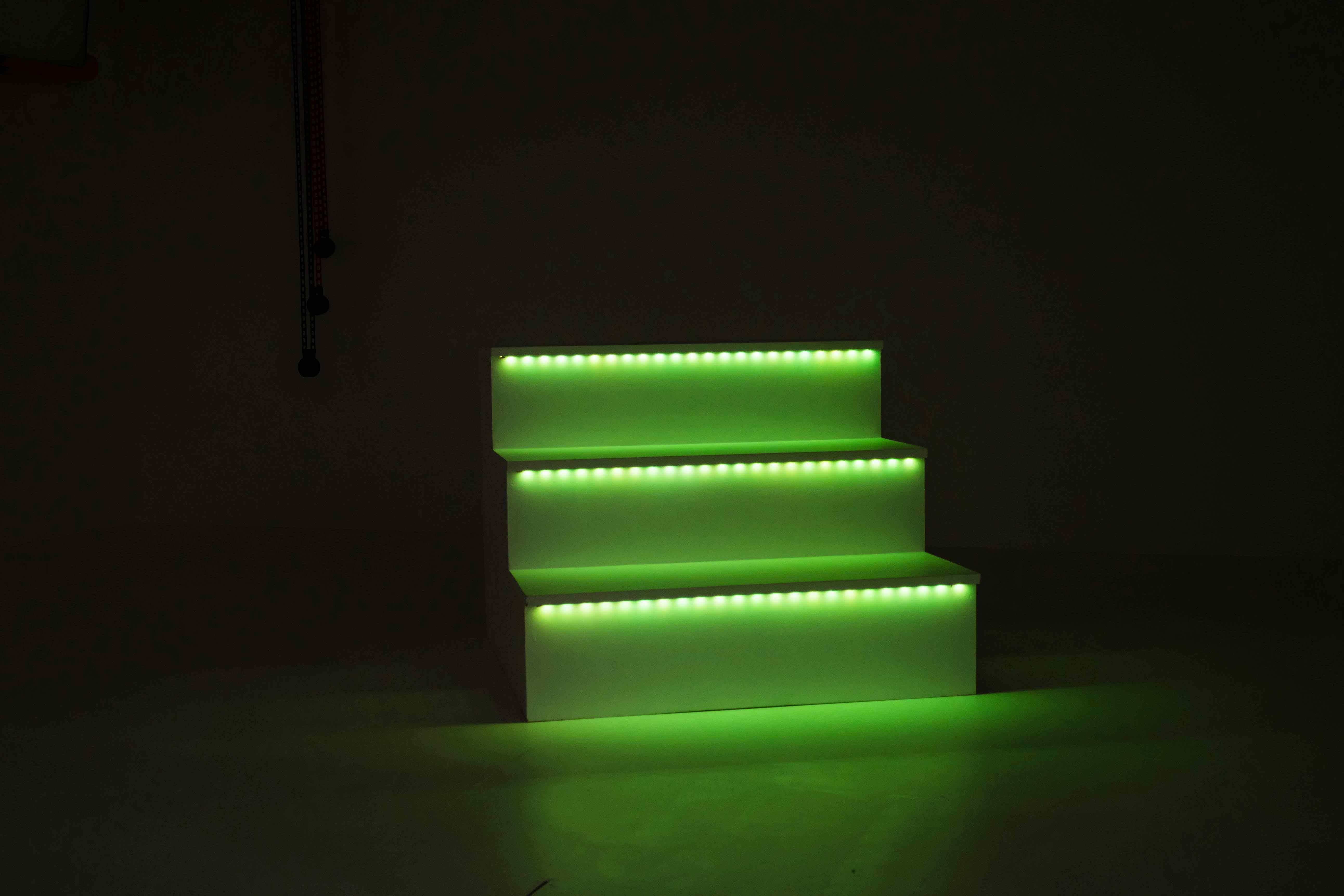 Photography & Flim Studio (Green) 15