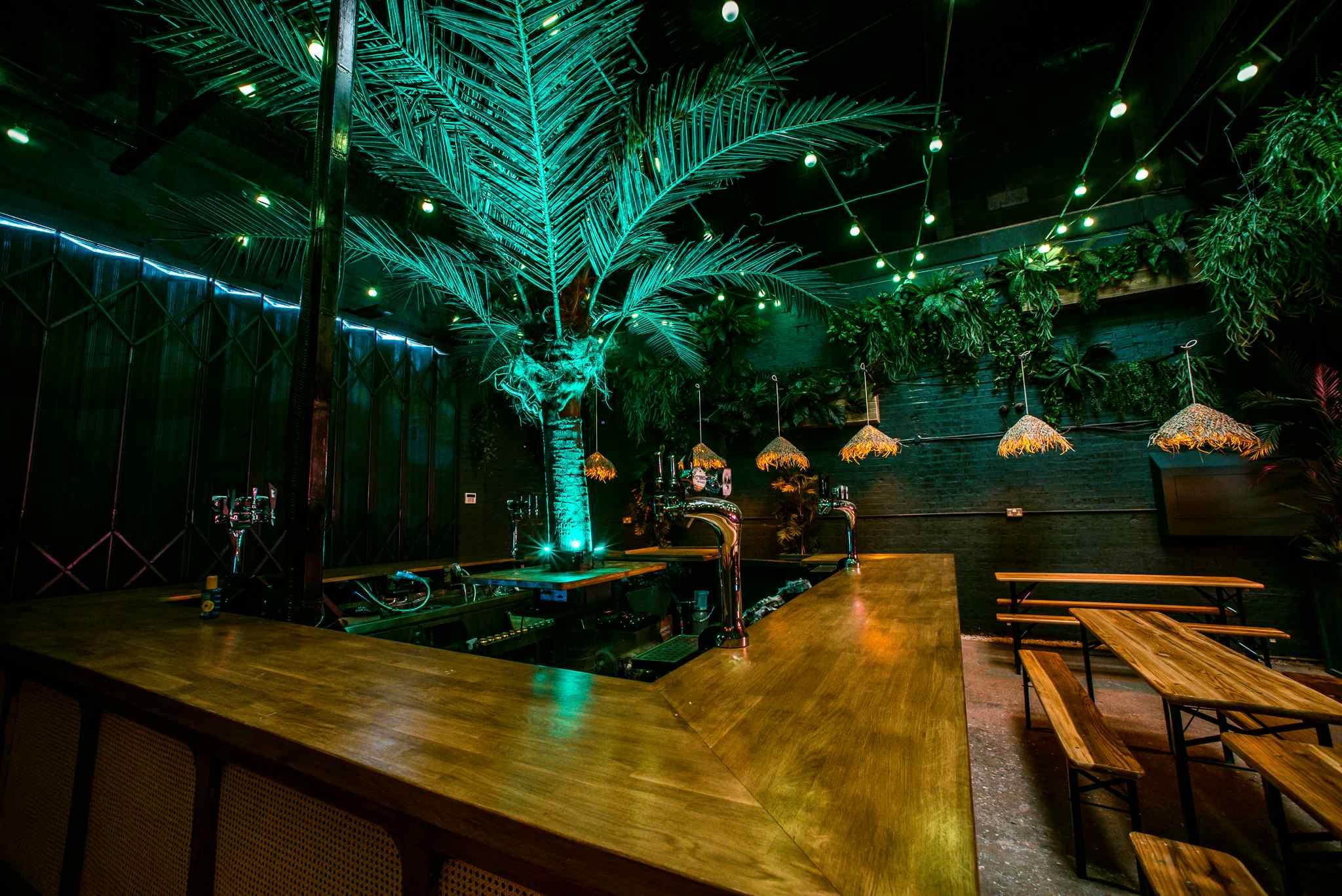 The Palm Bar 4