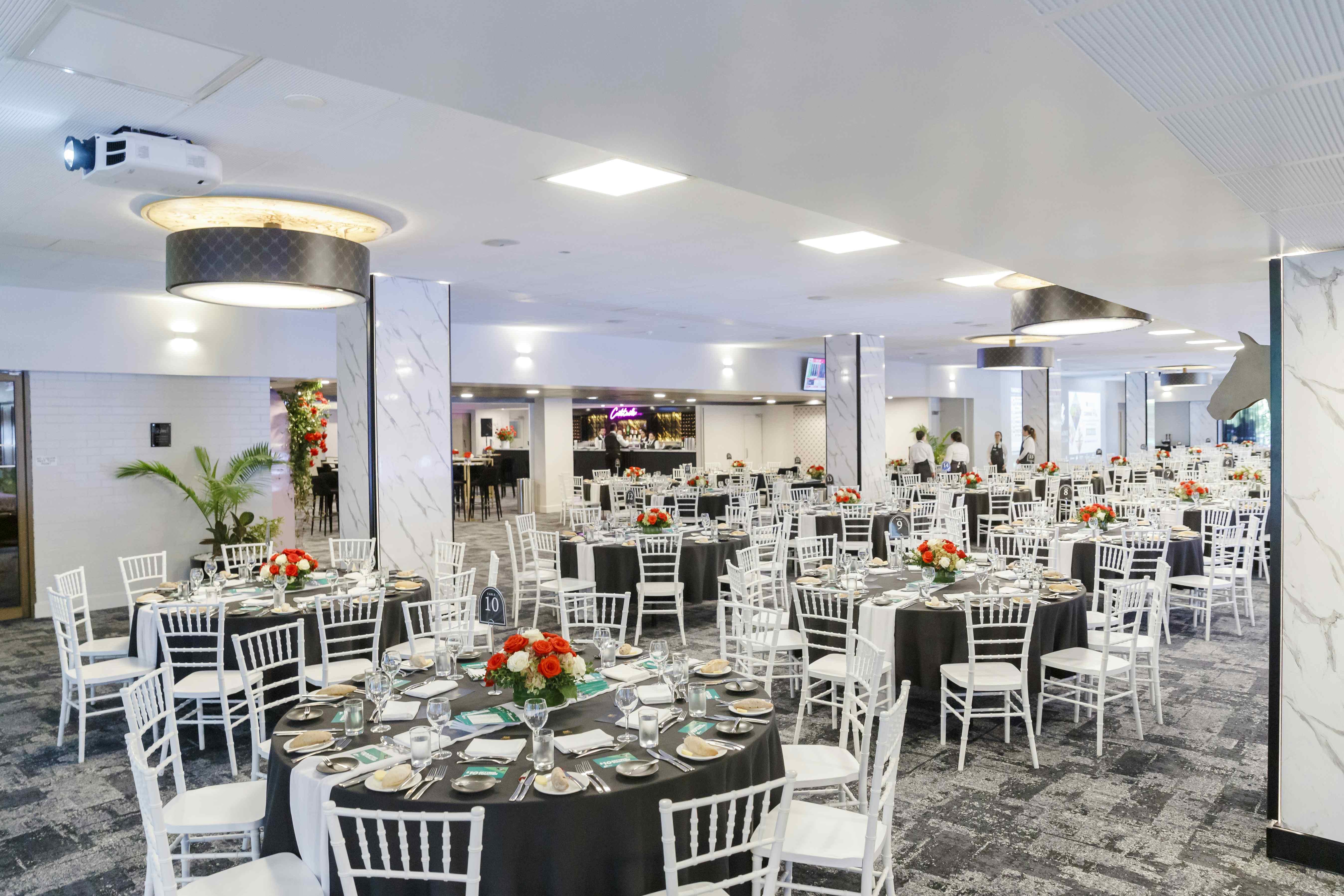 The Guineas Ballroom 1