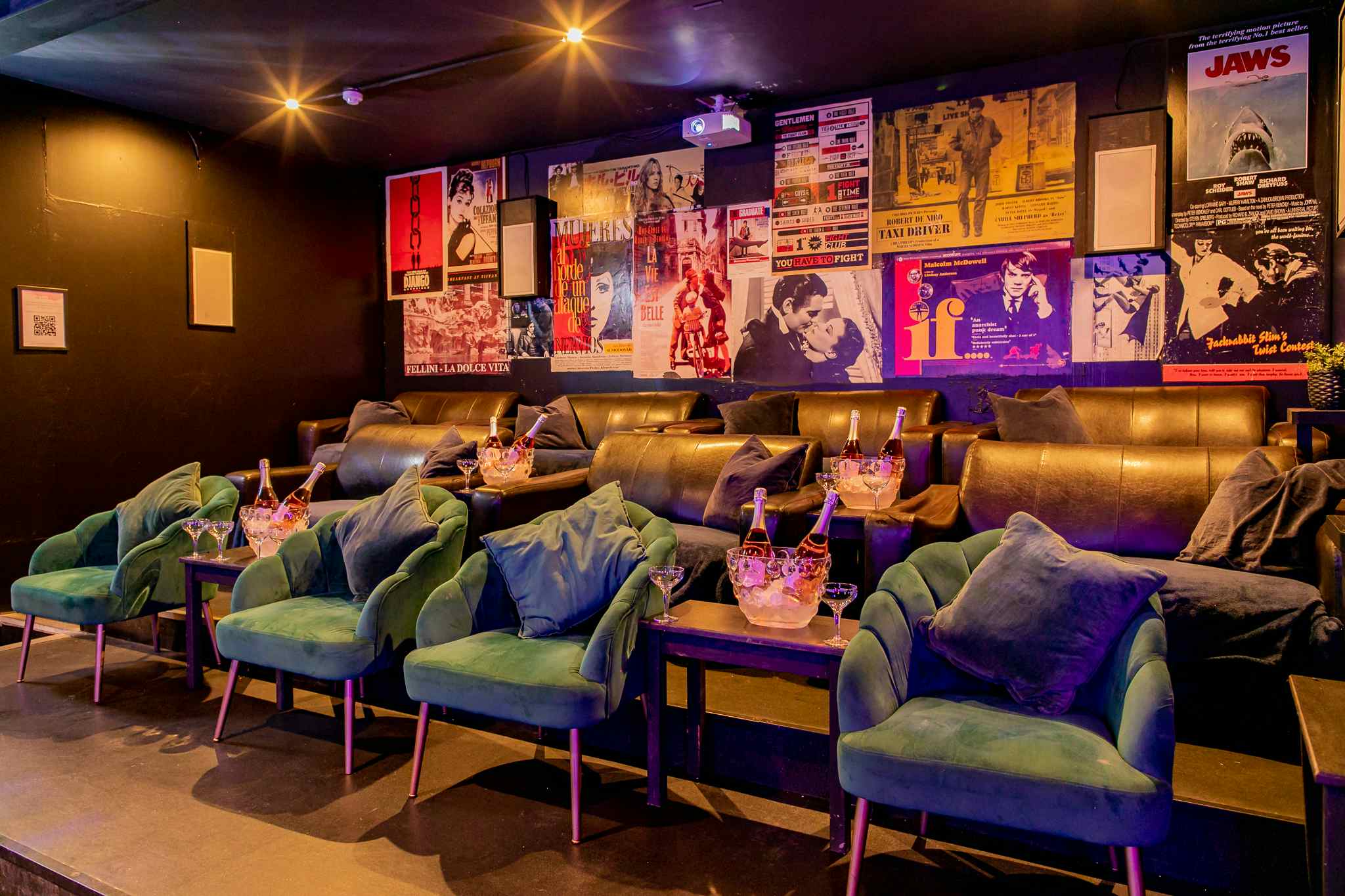 The Cinema & Karaoke Room  5