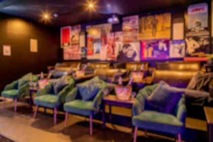 The Cinema & Karaoke Room  5