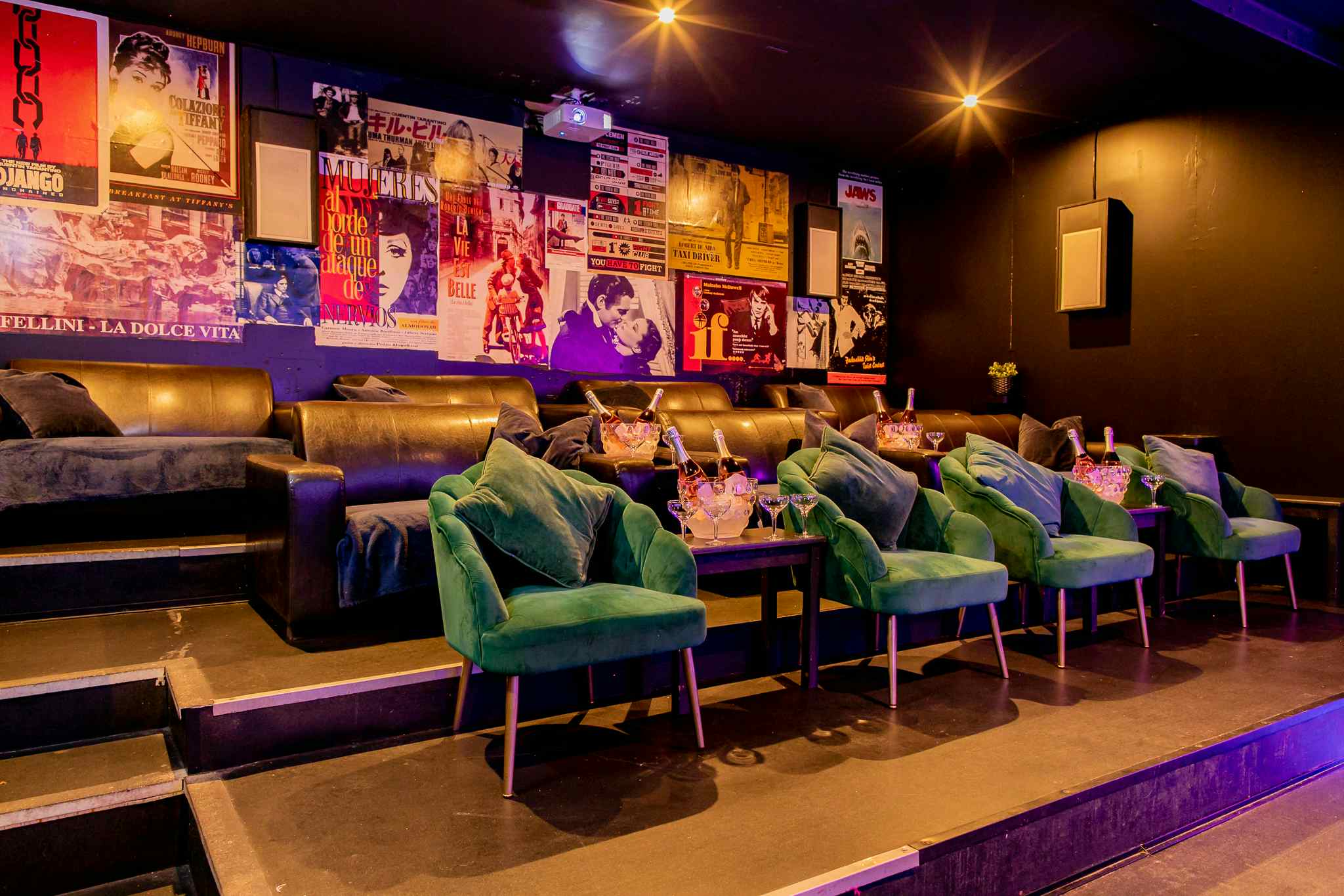 The Cinema & Karaoke Room  1
