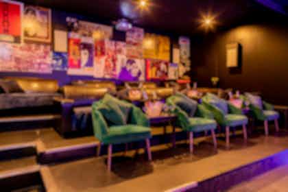 The Cinema & Karaoke Room  1