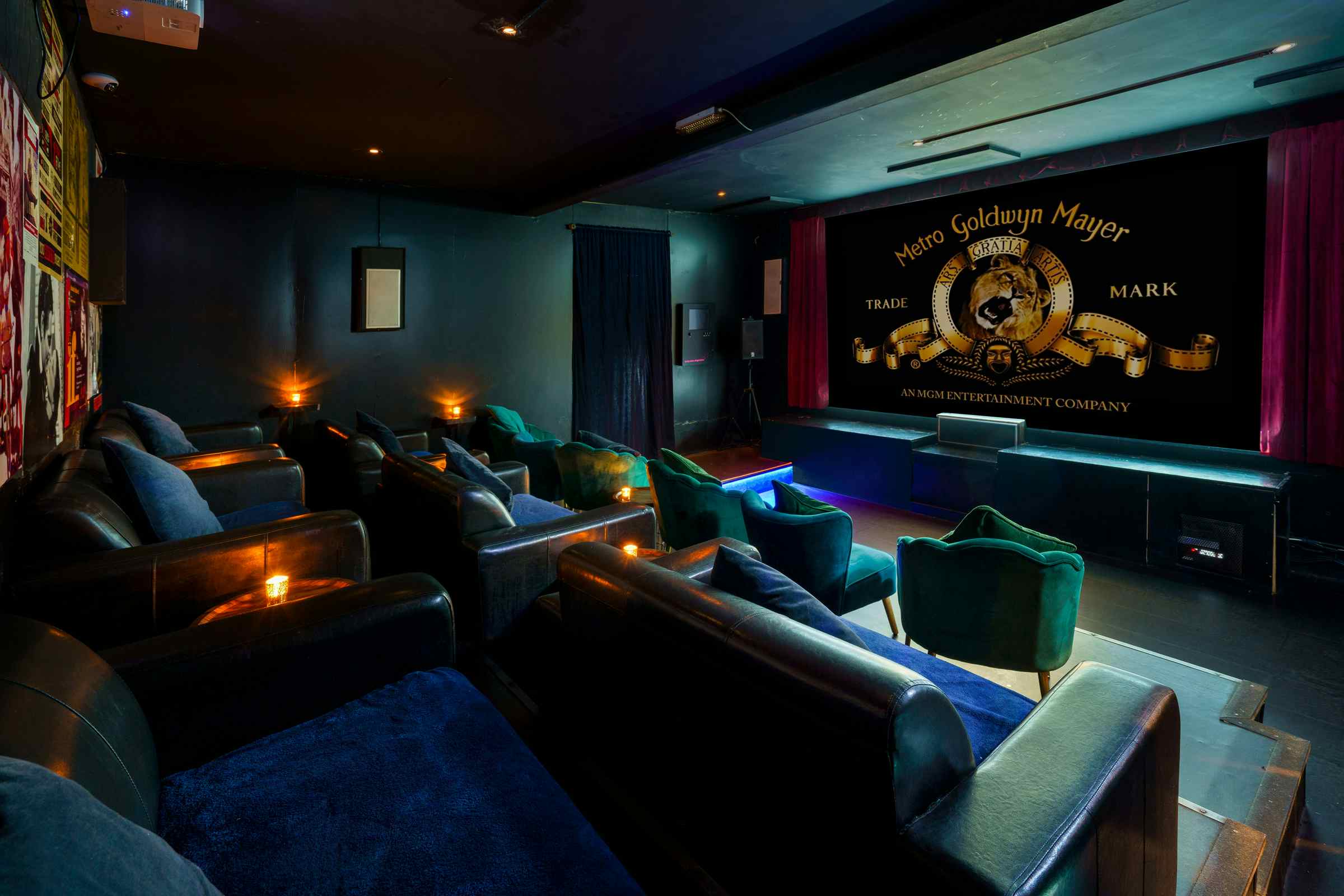 The Cinema & Karaoke Room 