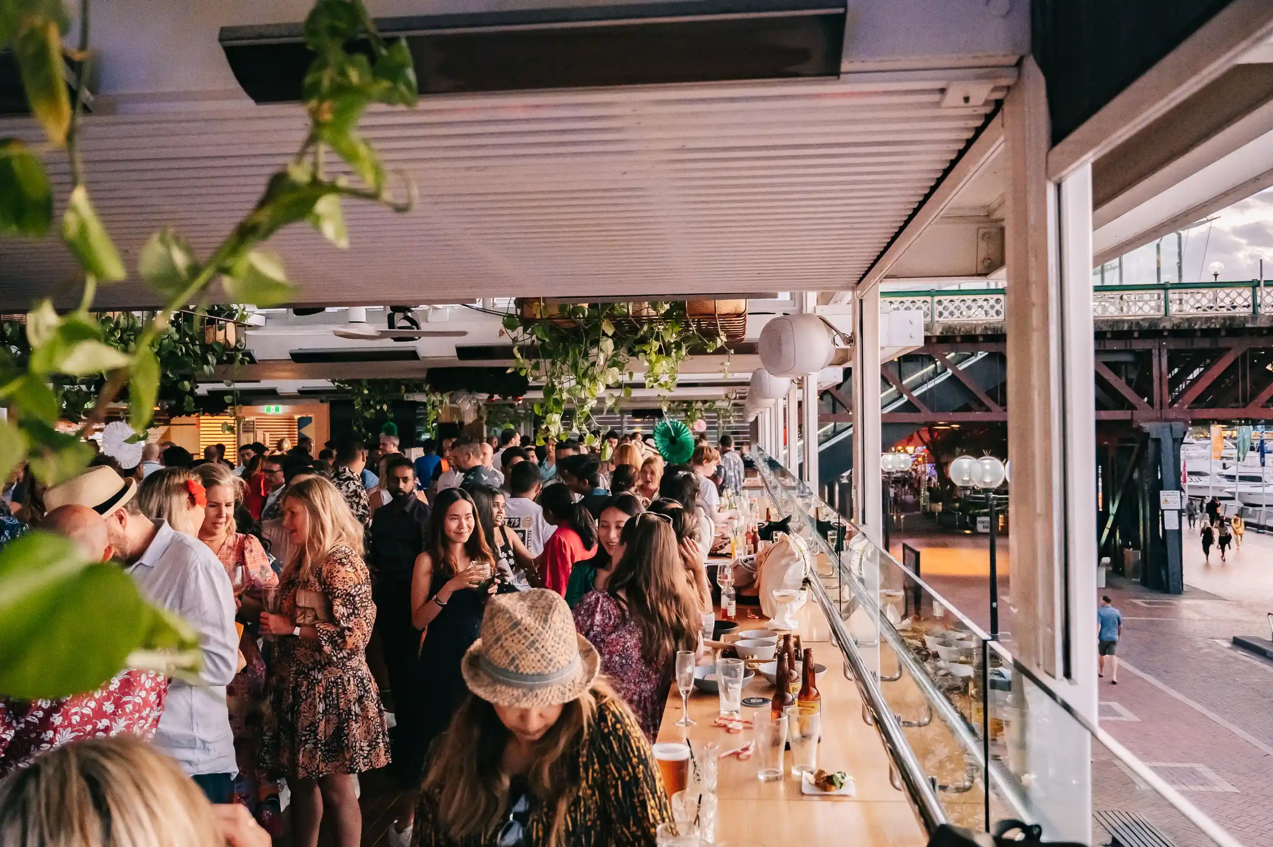 Helm Cockle Bay - The Terrace 