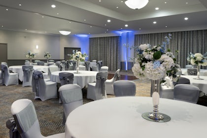 Forest Suite 1