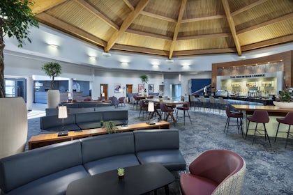 Forest Suite 4