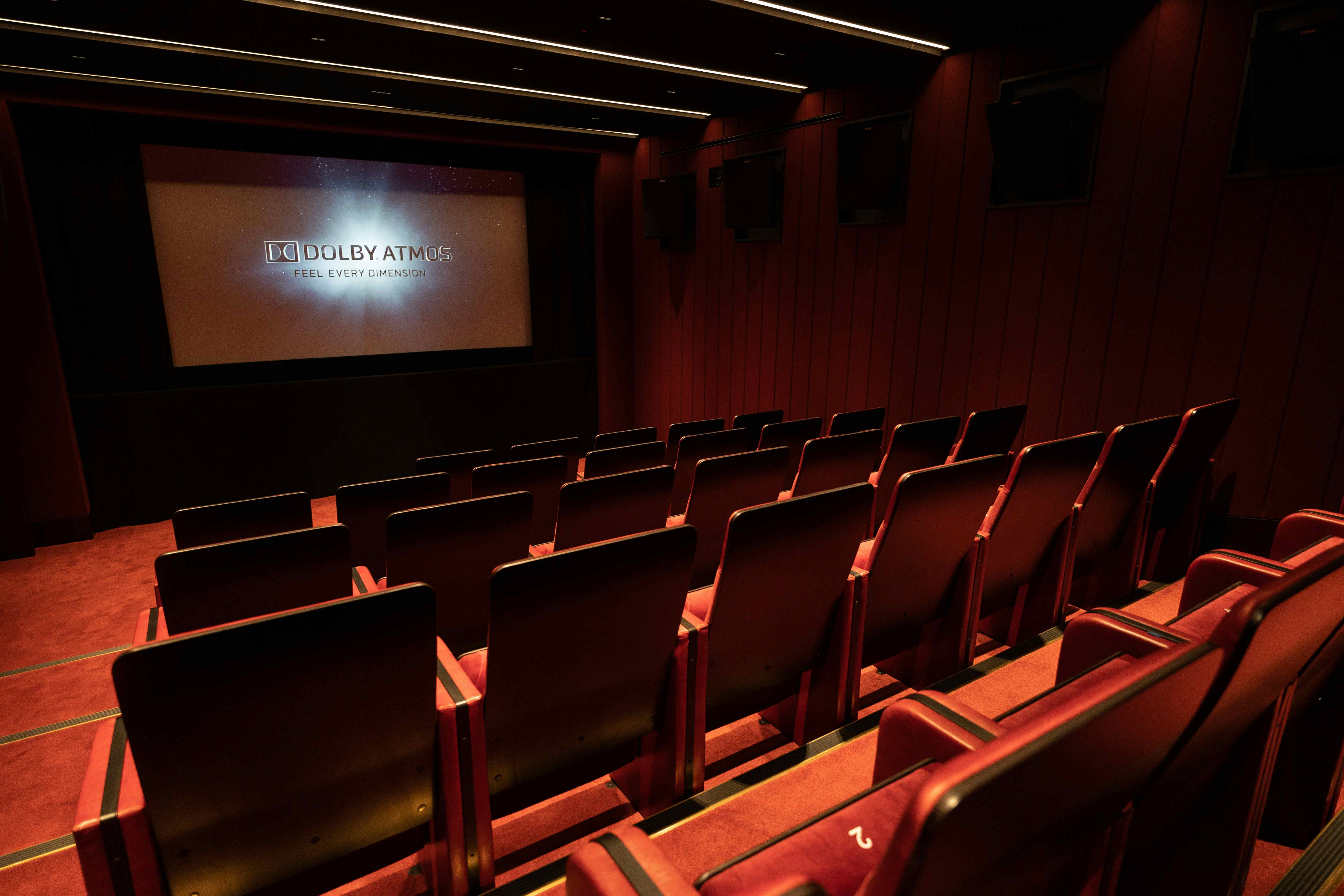 Run Run Shaw Theatre 2