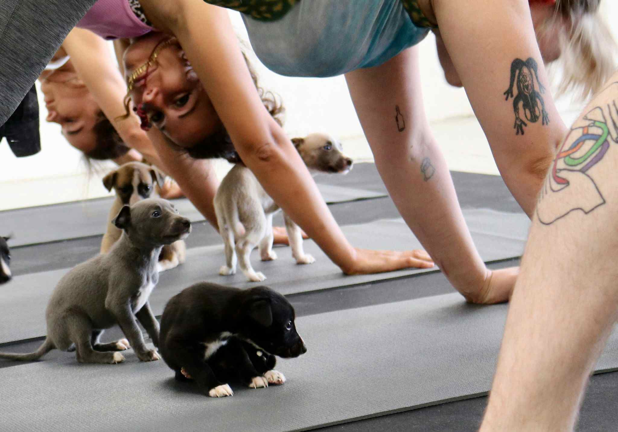 Jump Studios Bristol 5