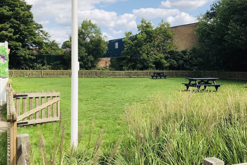 Lawn 0