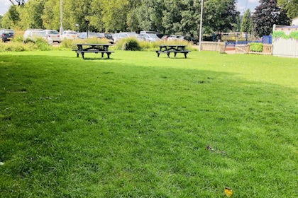 Lawn 1