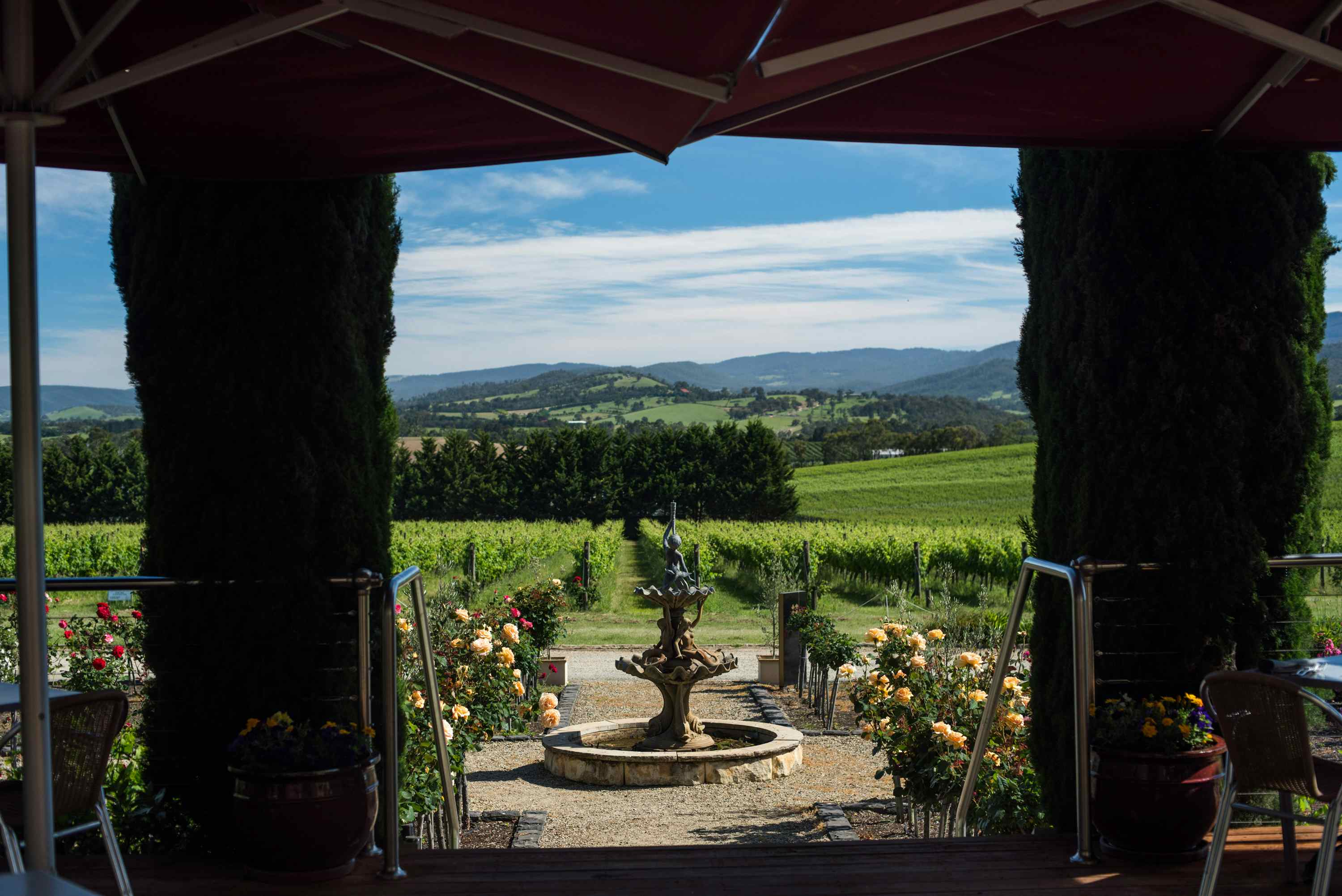 Tokar Estate Winery 1