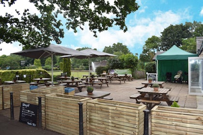 The Skylark Cafe 3