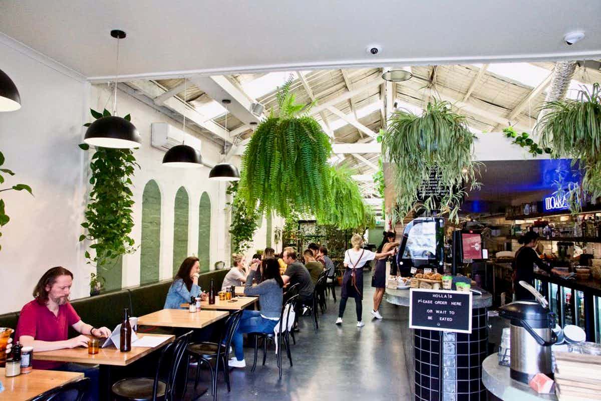 Holla Coffee Roaster 3