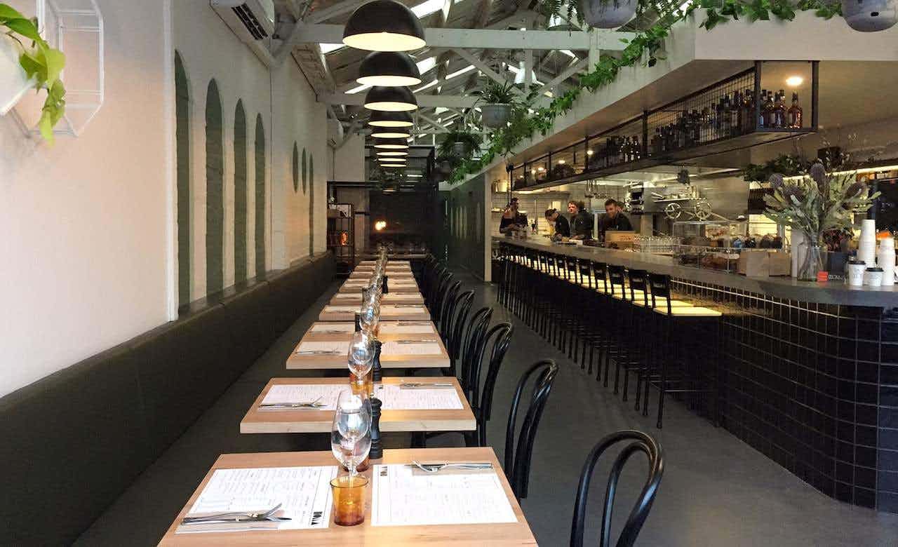 Holla Coffee Roaster 2