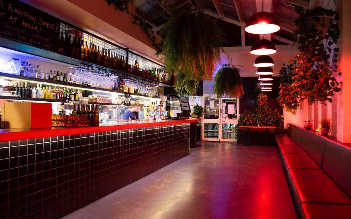 Holla Coffee Roaster 1