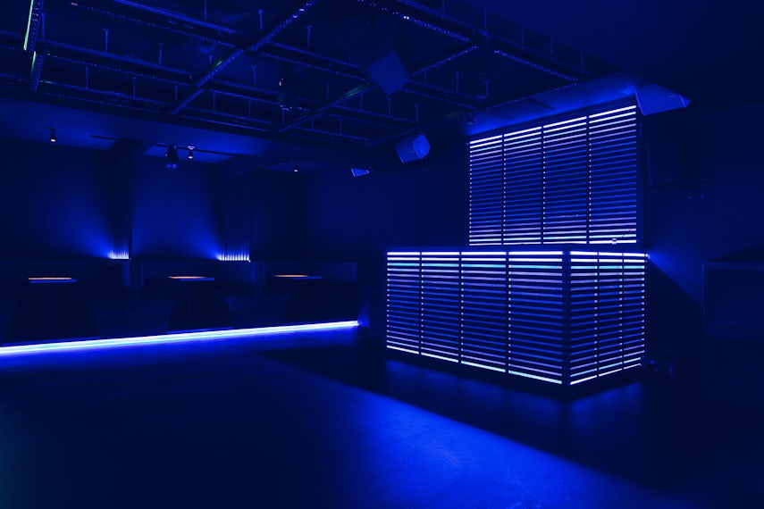 Club KONG 0