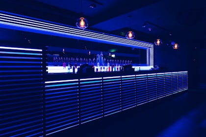 Club KONG 1