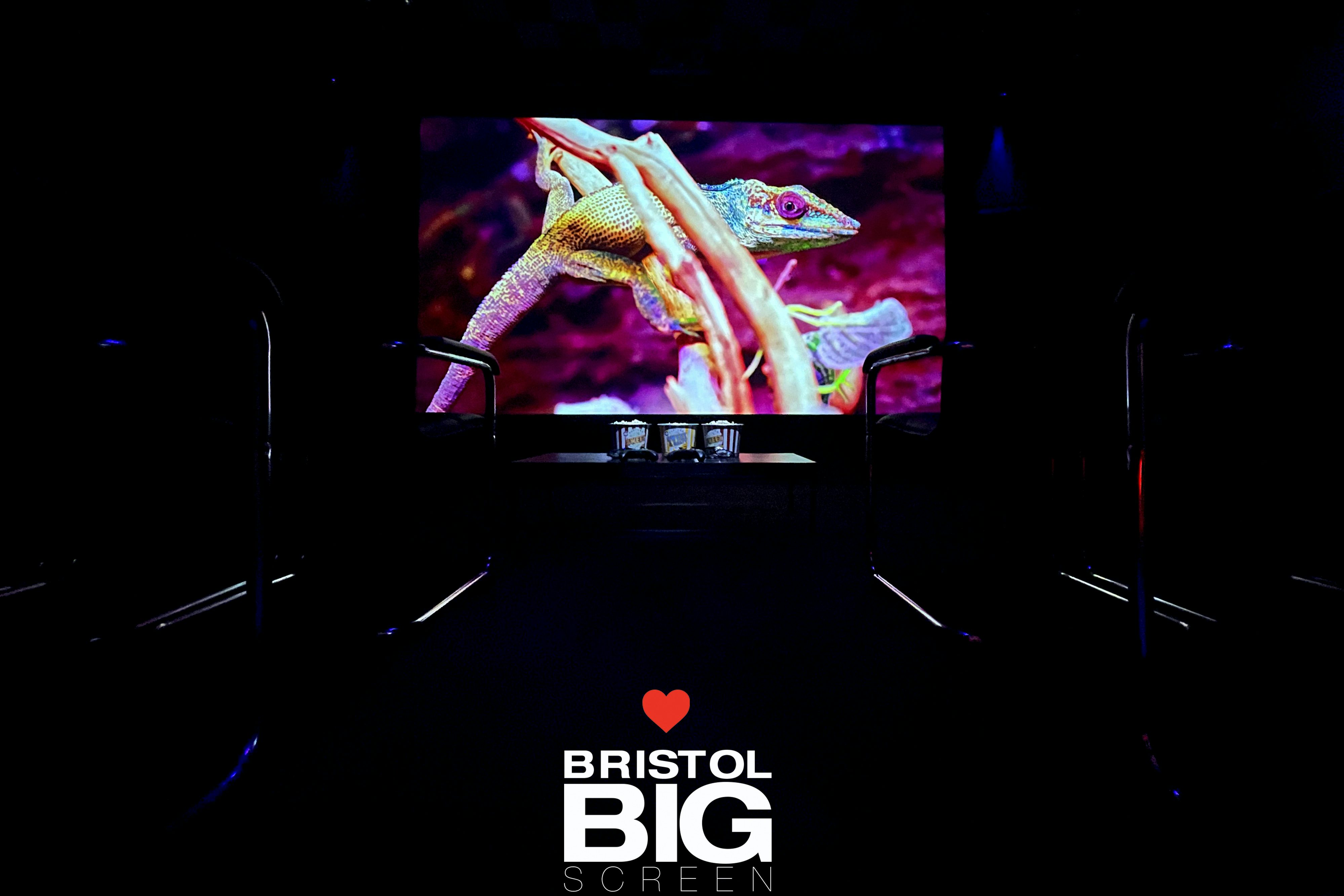 Bristol Big Screen: Screening Room | 200" 4K HDR10 3D Dolby Atmos 8