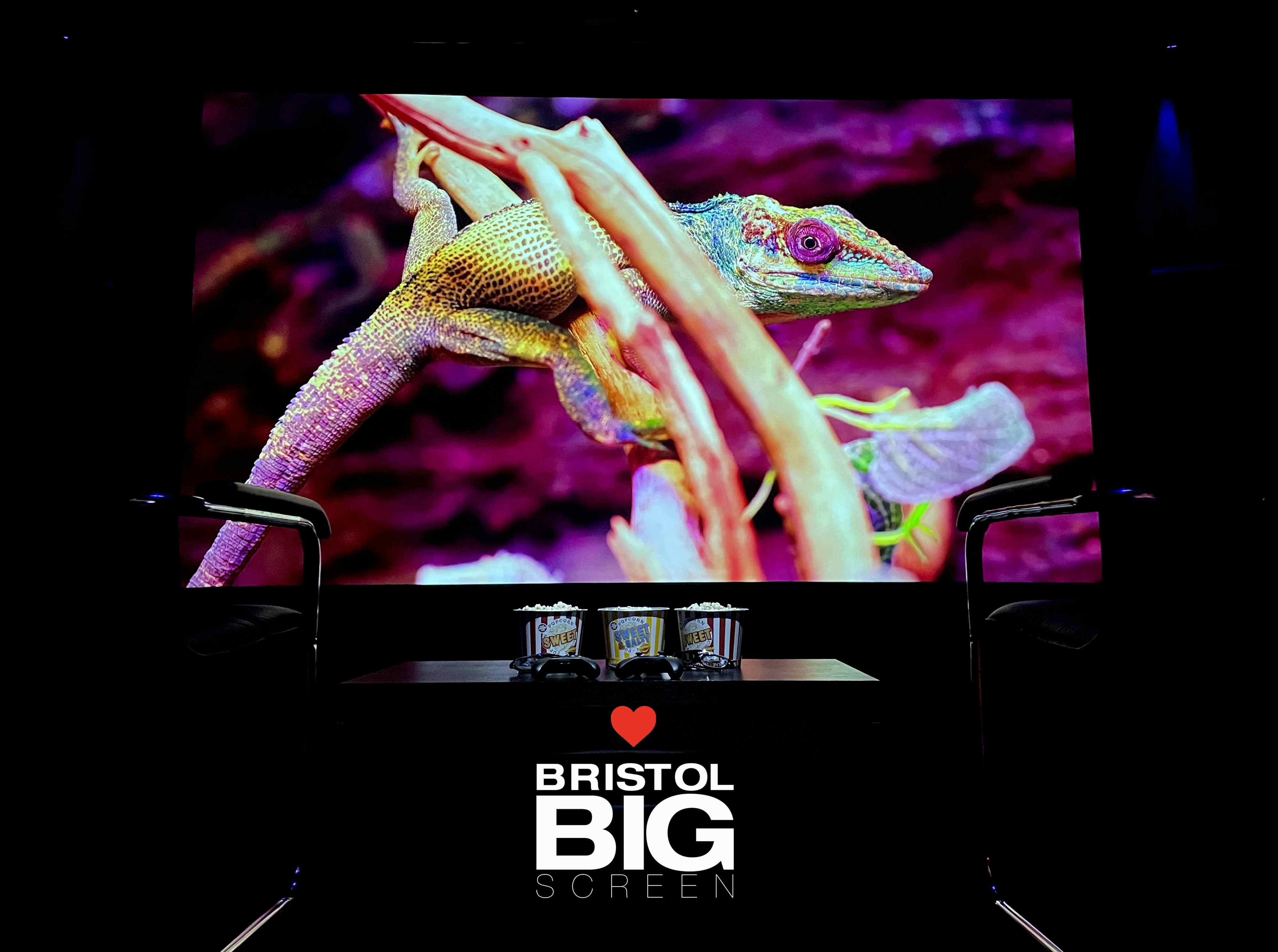 Bristol Big Screen: Screening Room | 200" 4K HDR10 3D Dolby Atmos 2