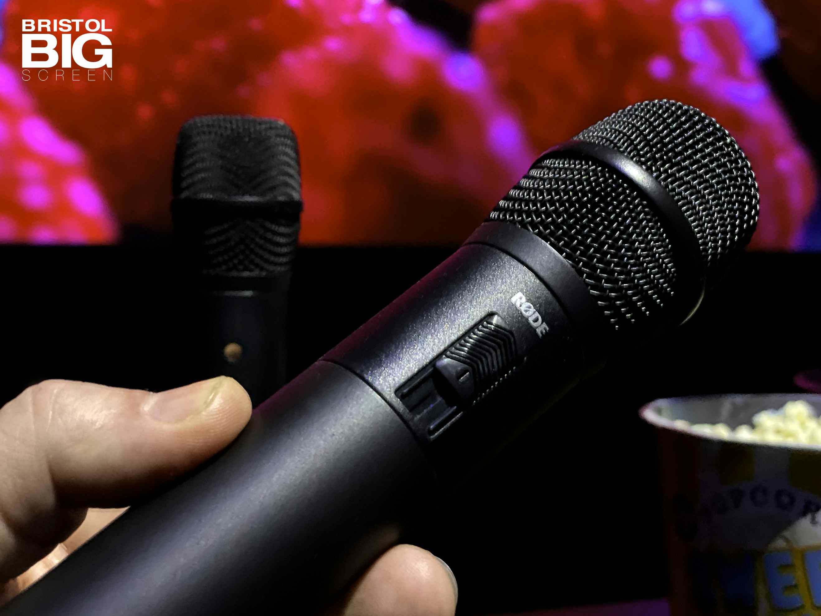 Bristol Big Screen: Screening Room | 200" 4K HDR10 3D Dolby Atmos 23