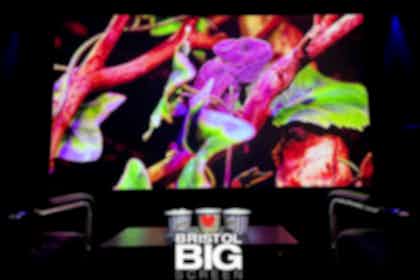 Bristol Big Screen: Screening Room | 200" 4K HDR10 3D Dolby Atmos 0