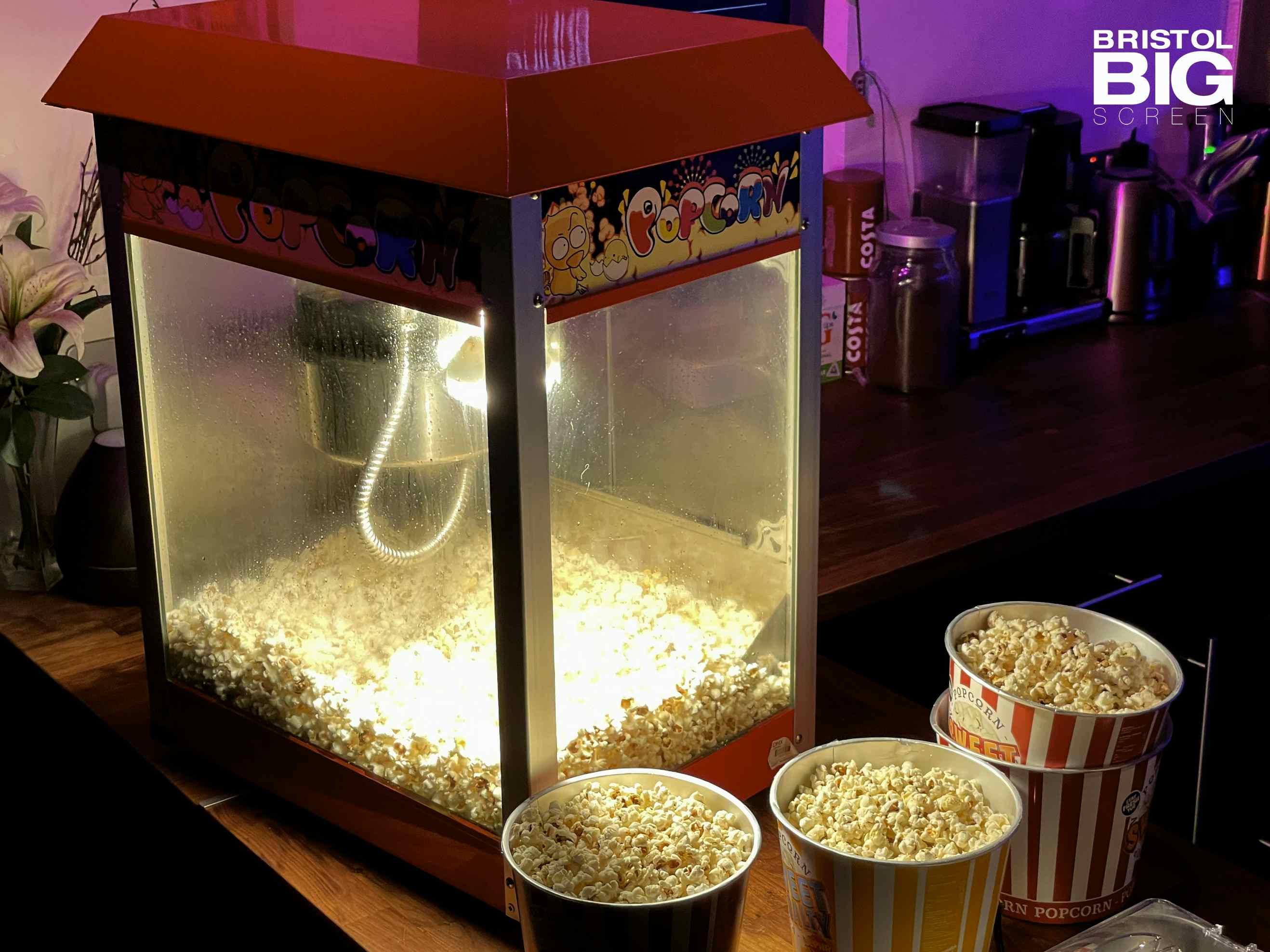 Bristol Big Screen: Screening Room | 200" 4K HDR10 3D Dolby Atmos 18