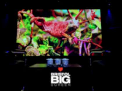 Bristol Big Screen: Screening Room | 200" 4K HDR10 3D Dolby Atmos 1