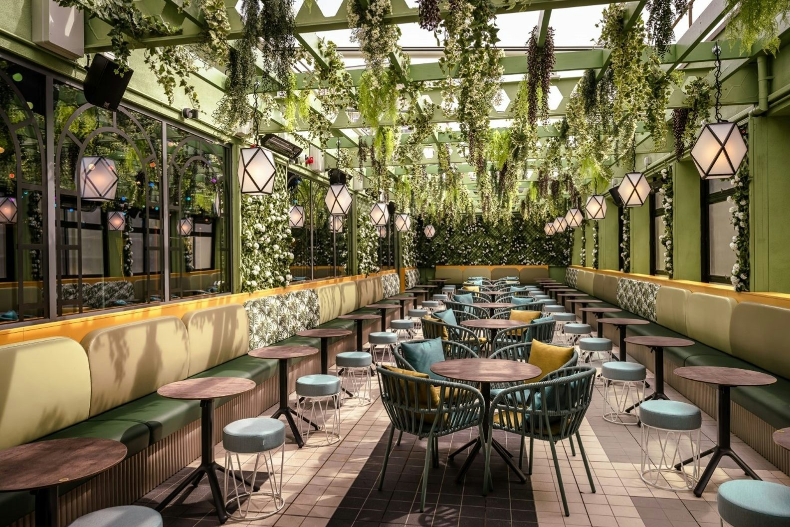 The Meteorite Exclusive 1