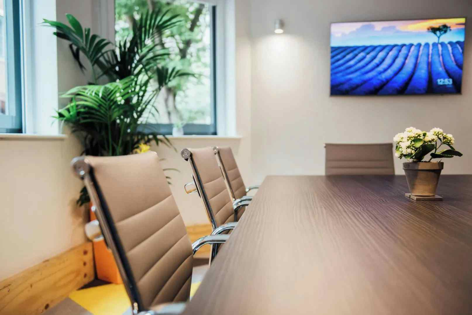 Stylish modern office space in perfect location 3