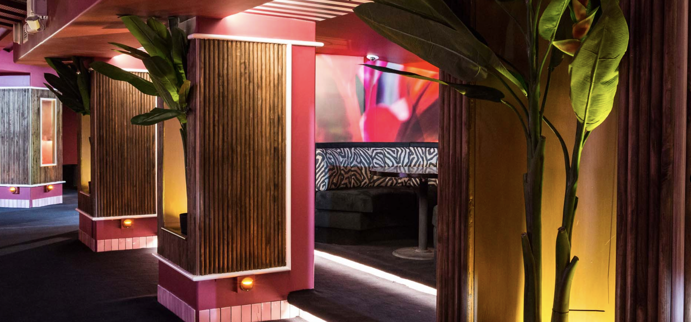 Club + Discotheque 2